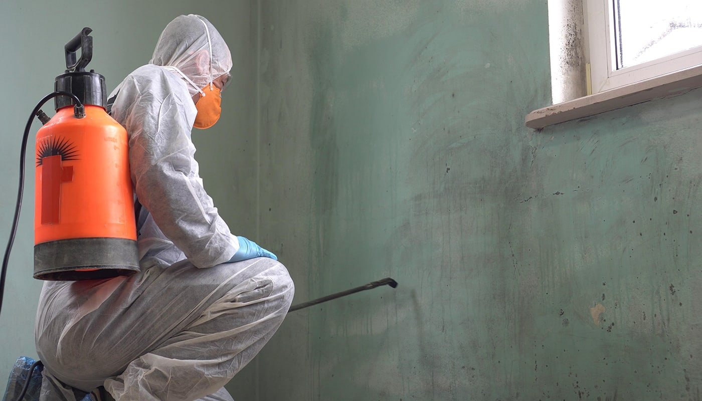 Professional mold remediation technician in protective gear applying treatment to mold-infested wall, emphasizing thorough mold removal process.