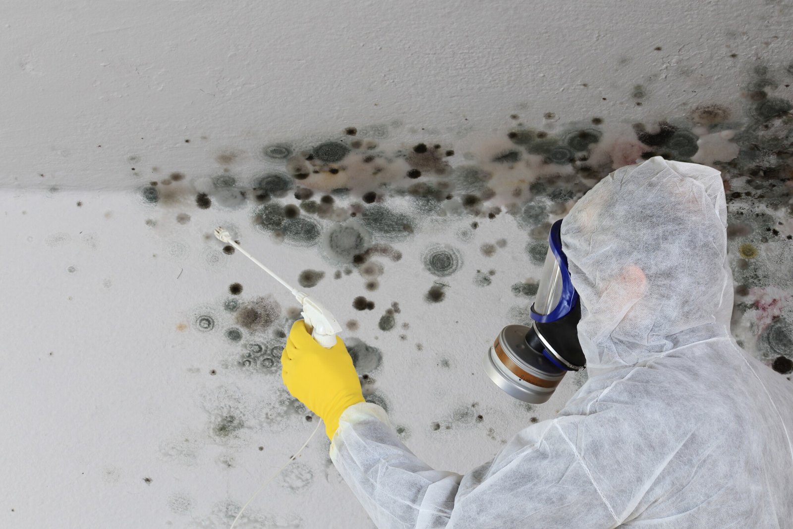 Person in protective gear applying mold treatment to wall with visible mold growth, illustrating the mold remediation process by Advanced Restoration SC.