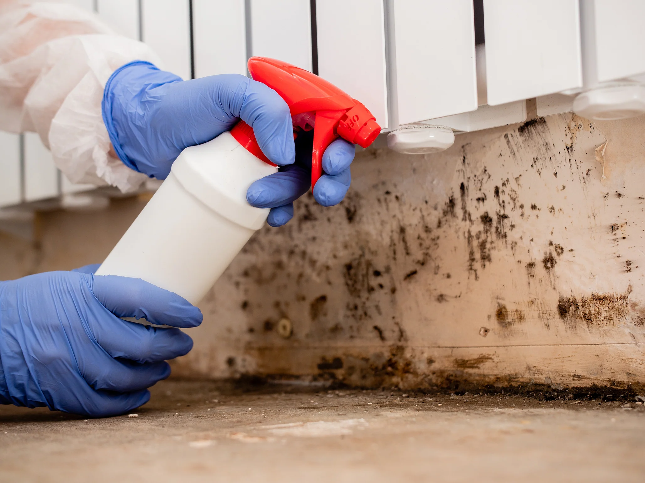 Person in protective gear spraying antimicrobial solution on mold-infested surface during mold remediation process.