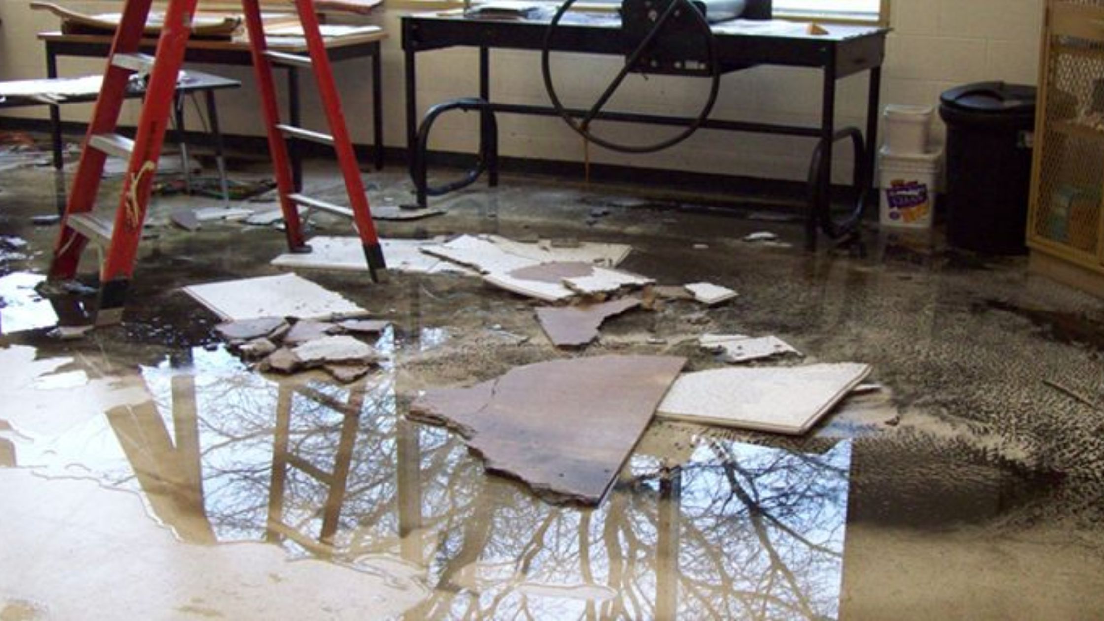 What Should You Do Immediately After Water Damage in Greenville, SC?