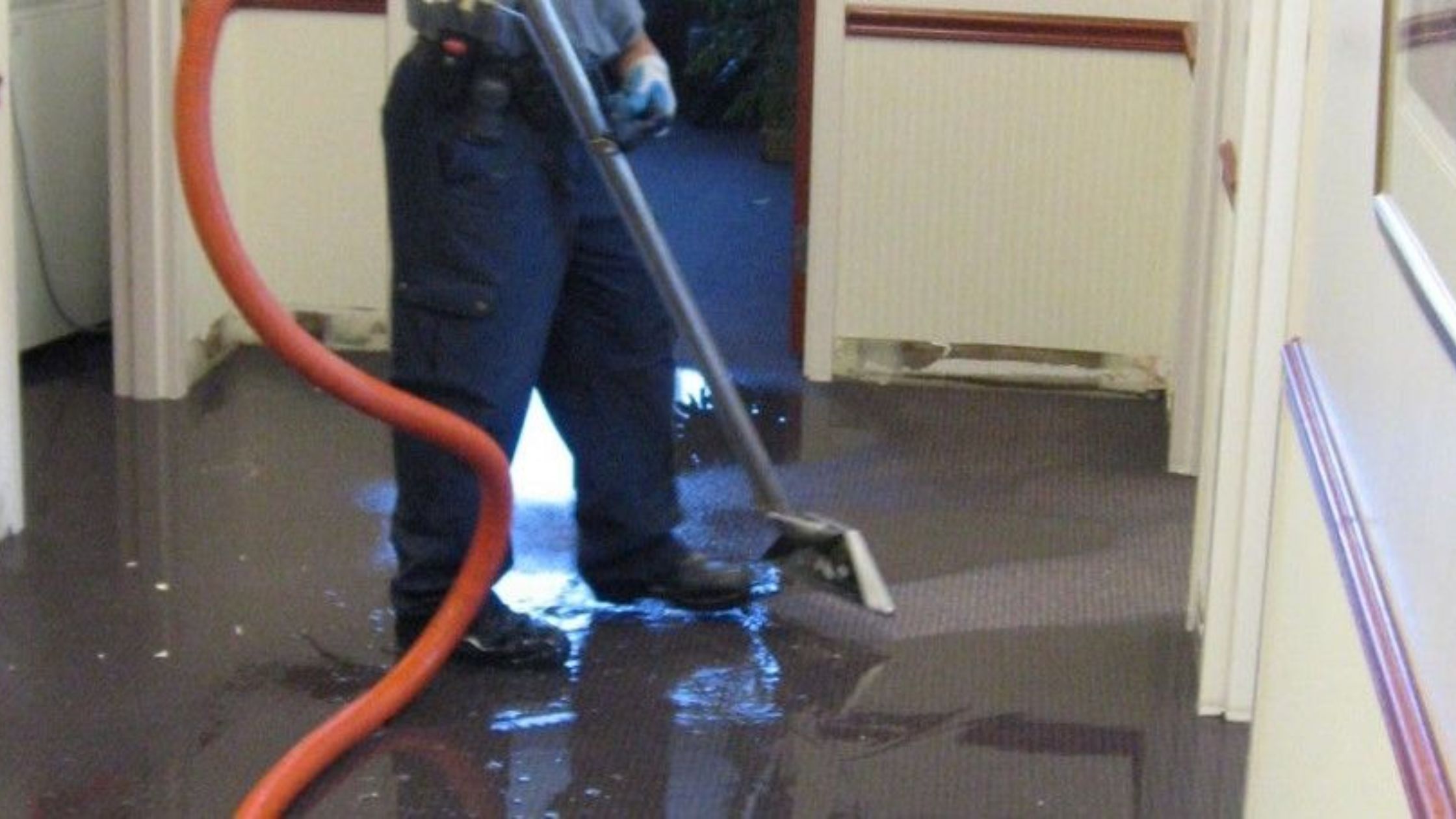 Why Is Professional Water Mitigation Essential in Greenville&rsquo;s Climate and Terrain?