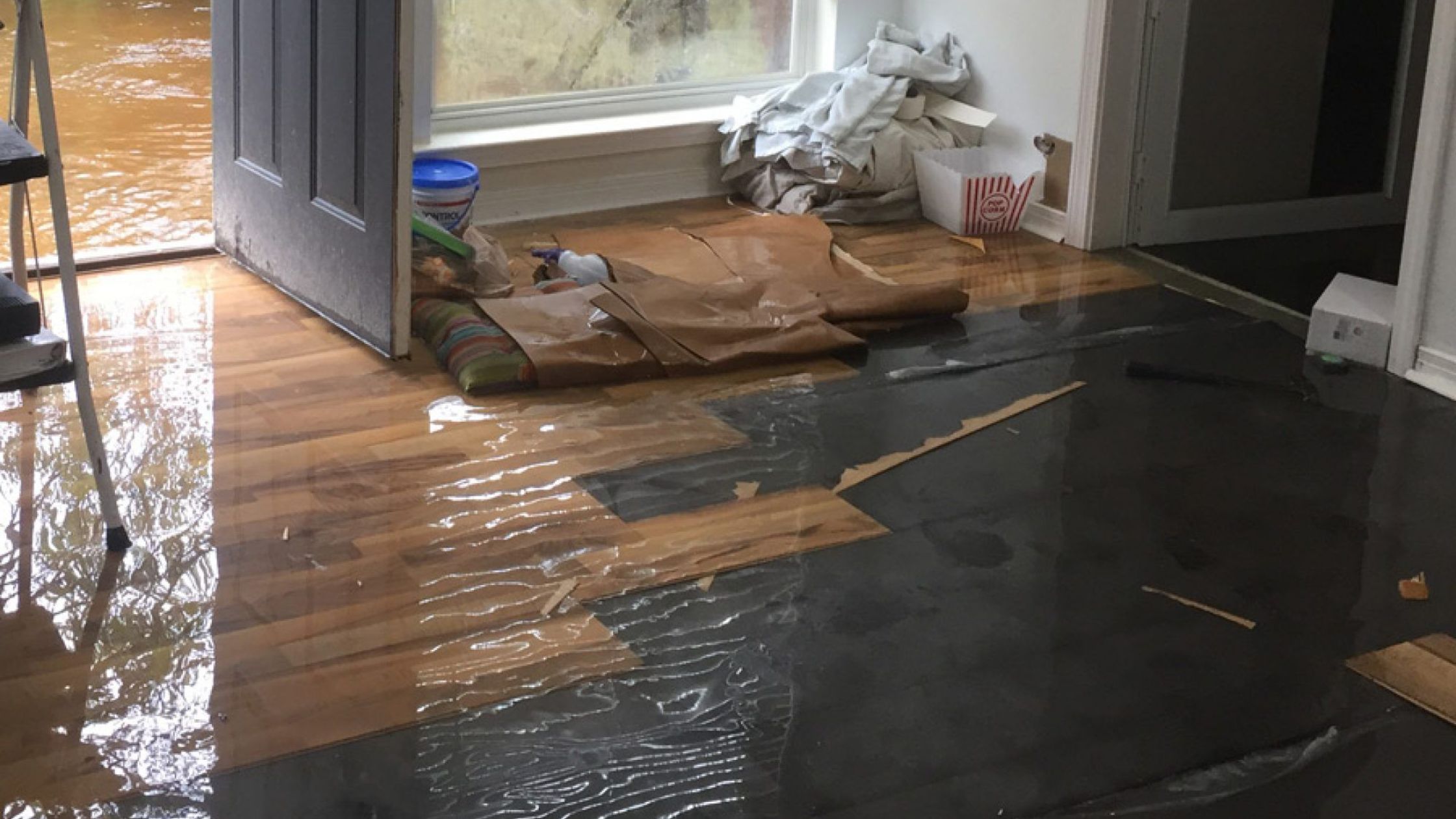 What Are the Signs Your Spartanburg Property Needs Professional Water Damage Assessment?