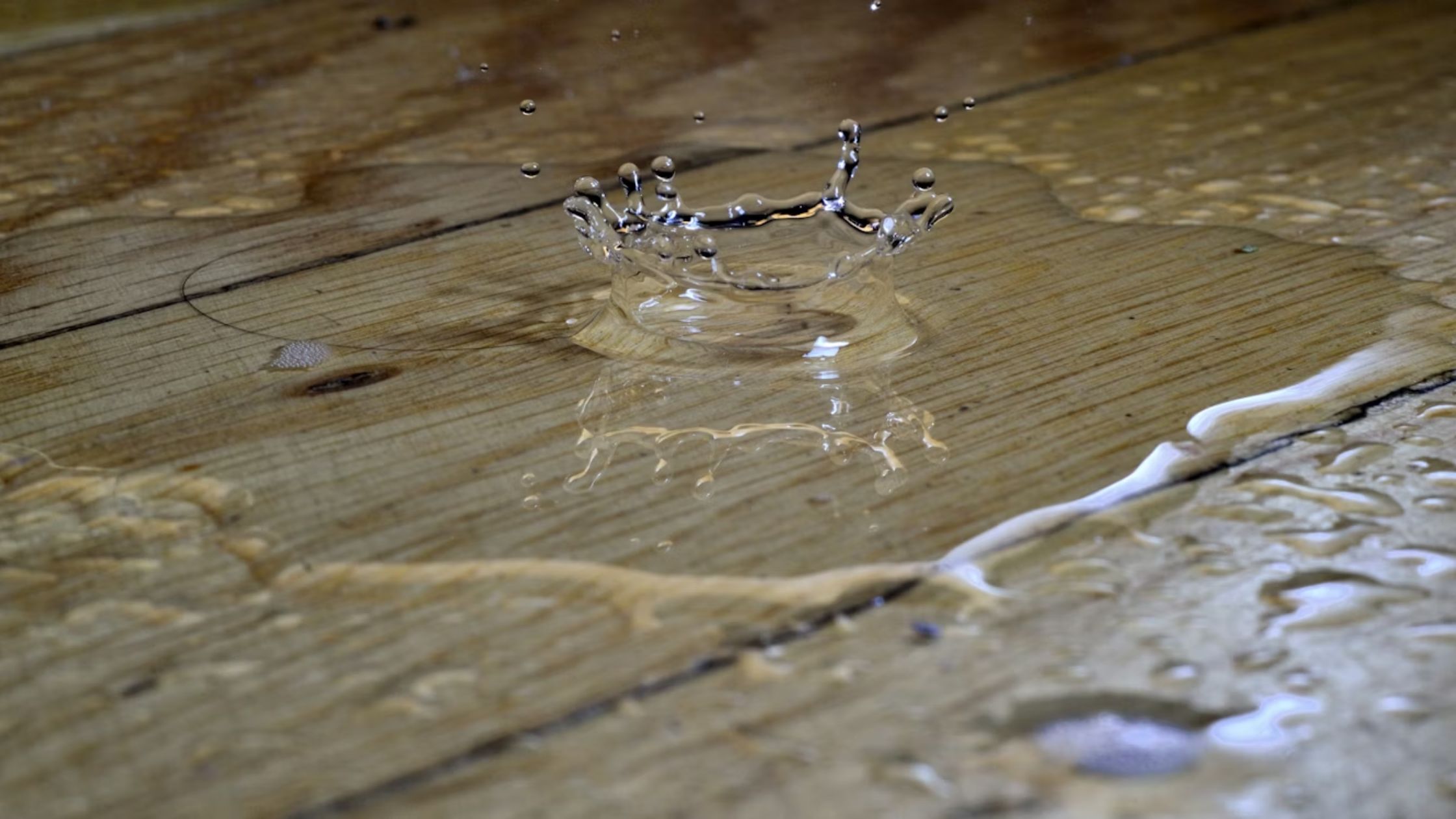 How Quickly Should You Call Water Damage Restoration Services in Spartanburg?