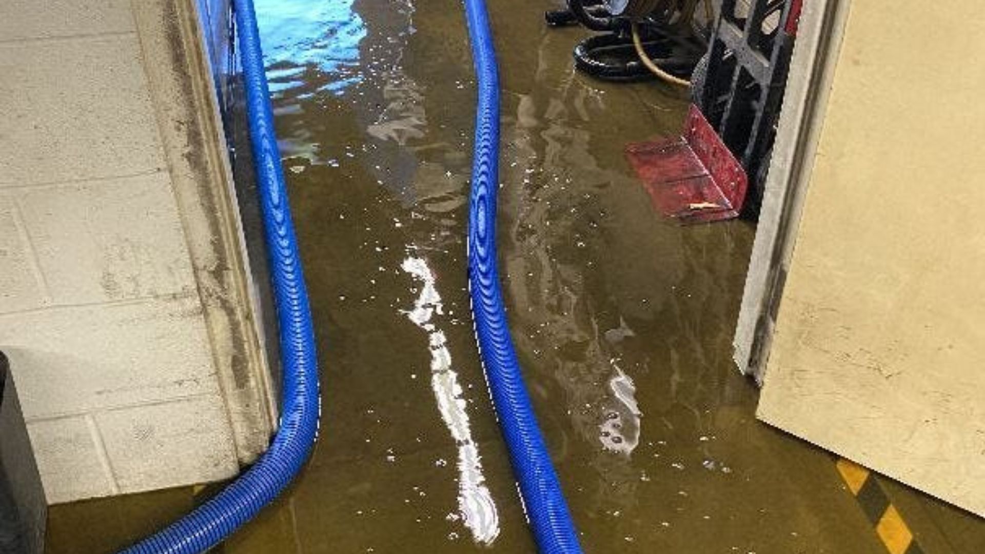 Can Water Damage in Easley, SC Lead to Mold Problems if Left Untreated?