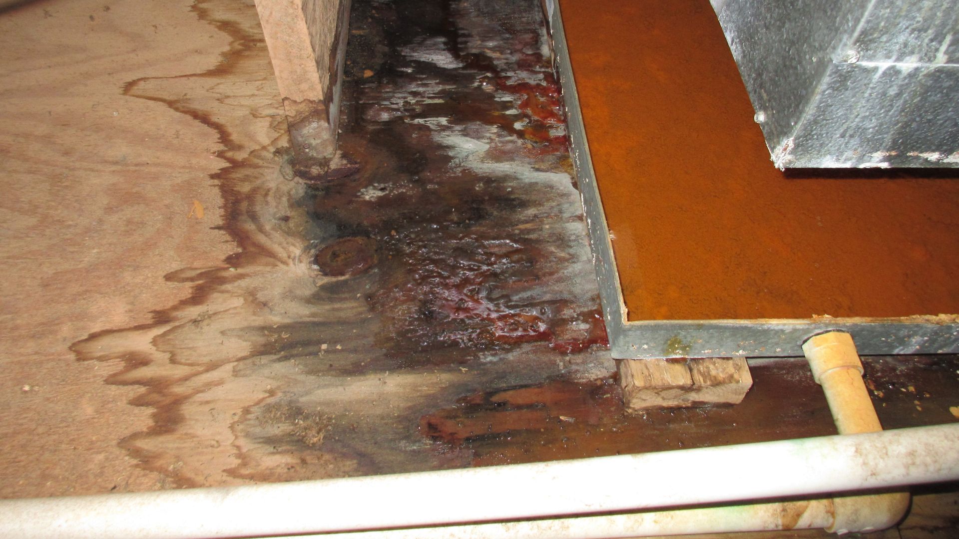 Water Damage Mitigation