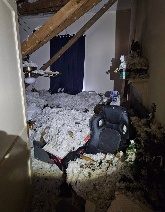Bedroom 2 - tree fell on roof causing ceilings to collapse